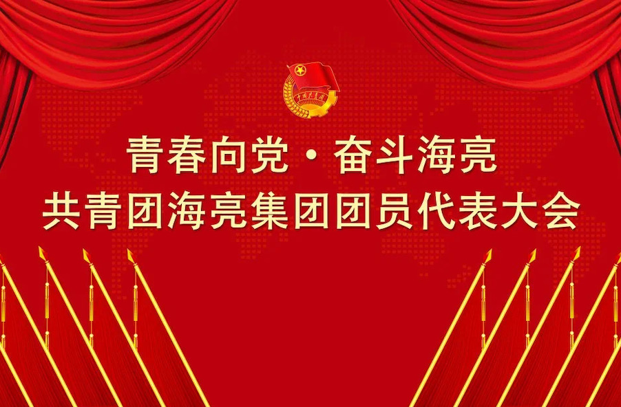 青春向黨 · 奮斗海亮丨共青團(tuán)海亮集團(tuán)有限公司團(tuán)員代表大會召開